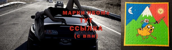 сатива Аркадак