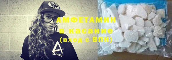 сатива Аркадак