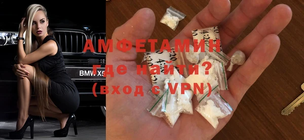 сатива Аркадак