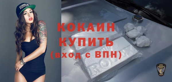эйфоретик Арсеньев