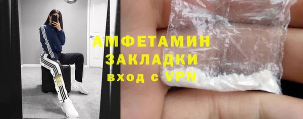 сатива Аркадак