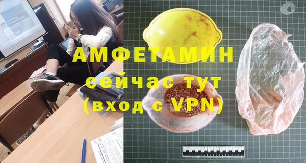 сатива Аркадак