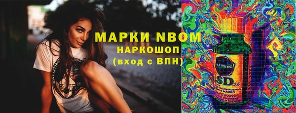 сатива Аркадак