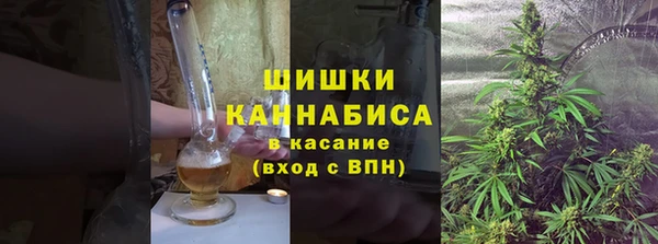 сатива Аркадак